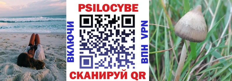 Галлюциногенные грибы Magic Shrooms Рязань